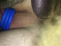 Ohknotty dog sex with a juicy pussy